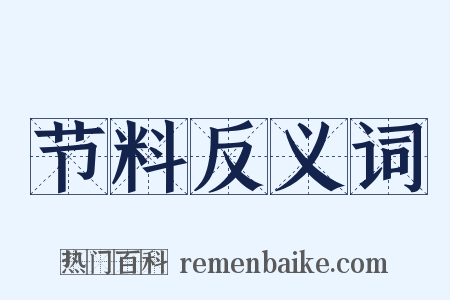 节料反义词是什么意思的图片